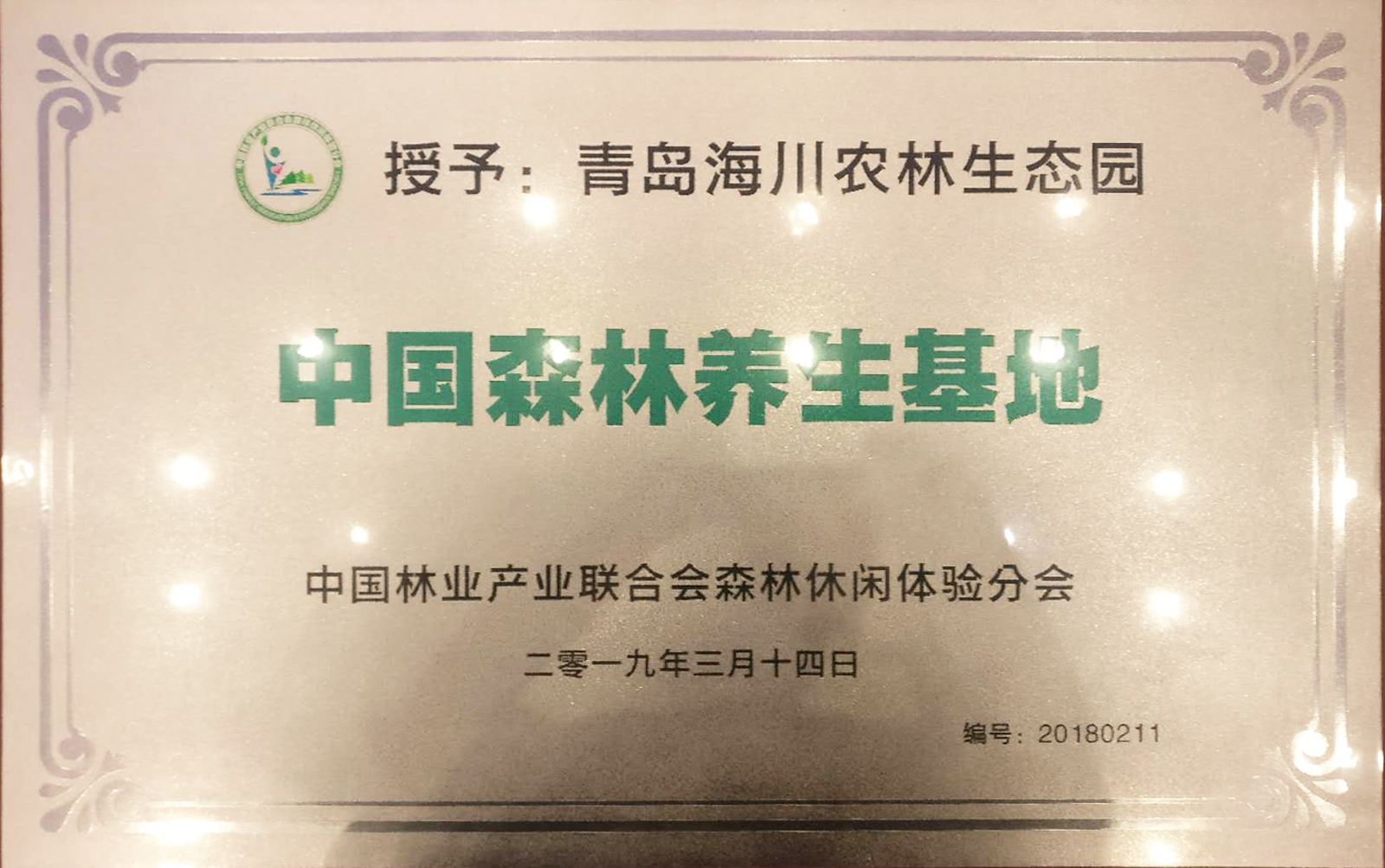 1554341735212921pB2B.jpg 獎牌.jpg