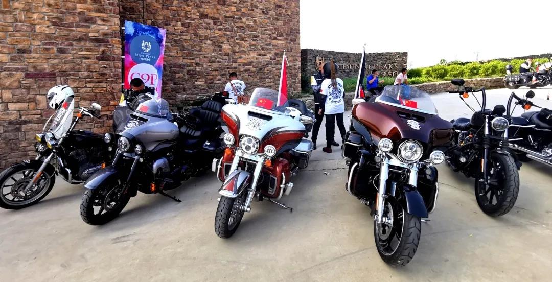 16337667651169901558.jpg 22.jpg