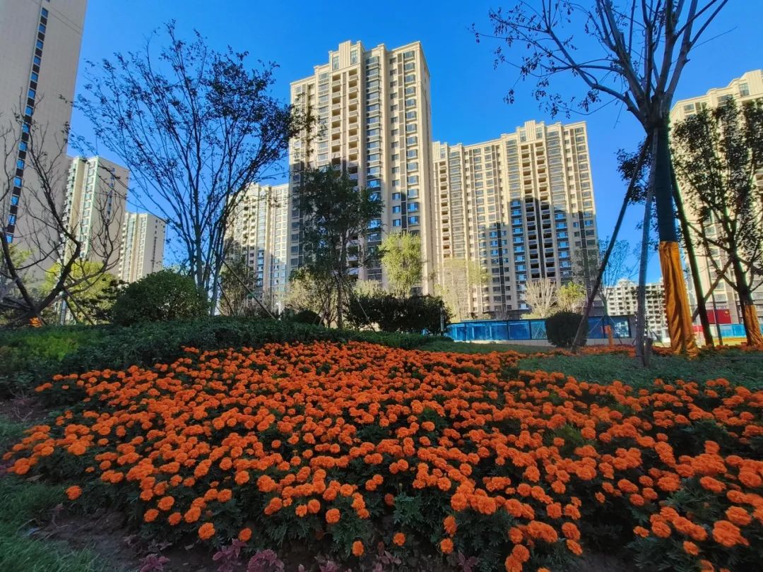 1666583297571763p494.jpg 5.jpg